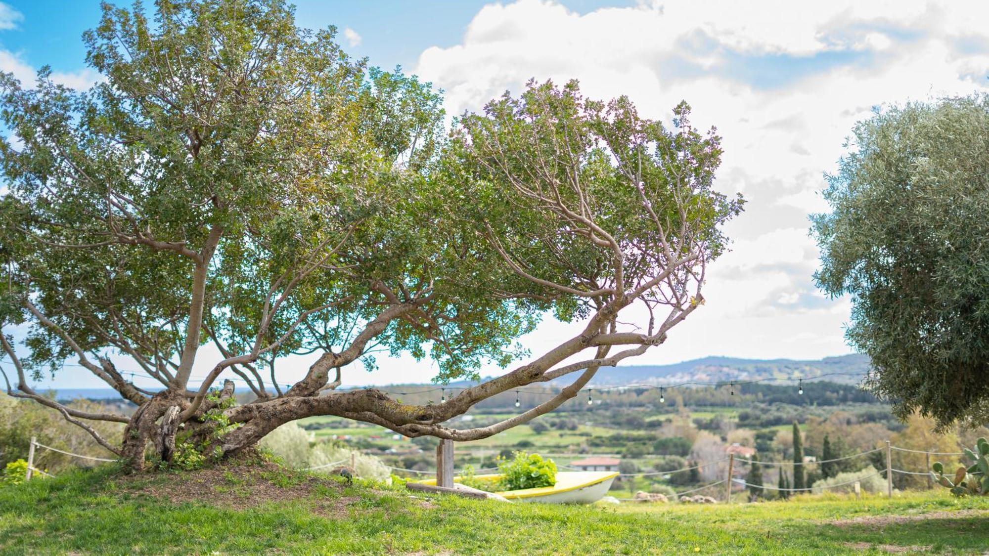 Hotel Essenza Di Mirto La Caletta Exteriér fotografie